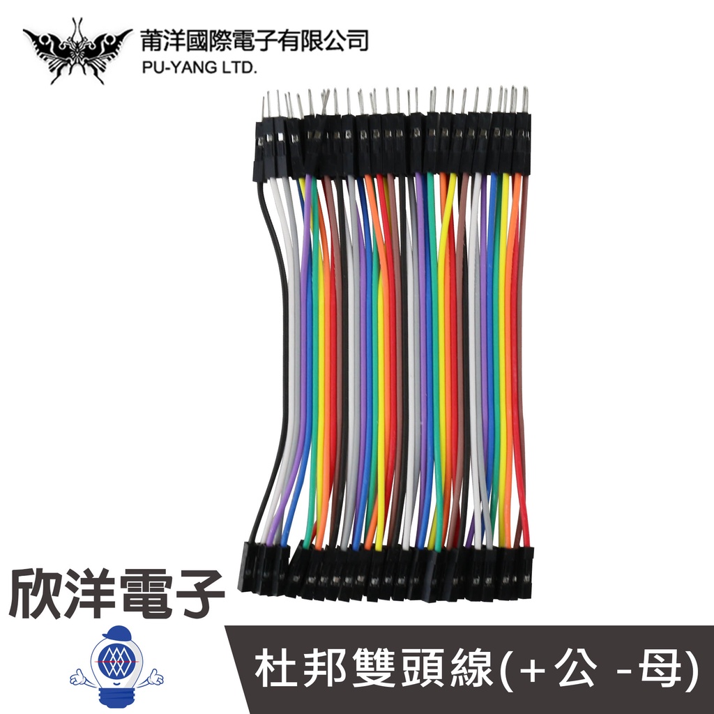 排線 40Pin彩排 杜邦線 公對母 彩虹排線公母 10公分/20公分/30公分 麵包板 Arduino | 蝦皮購物