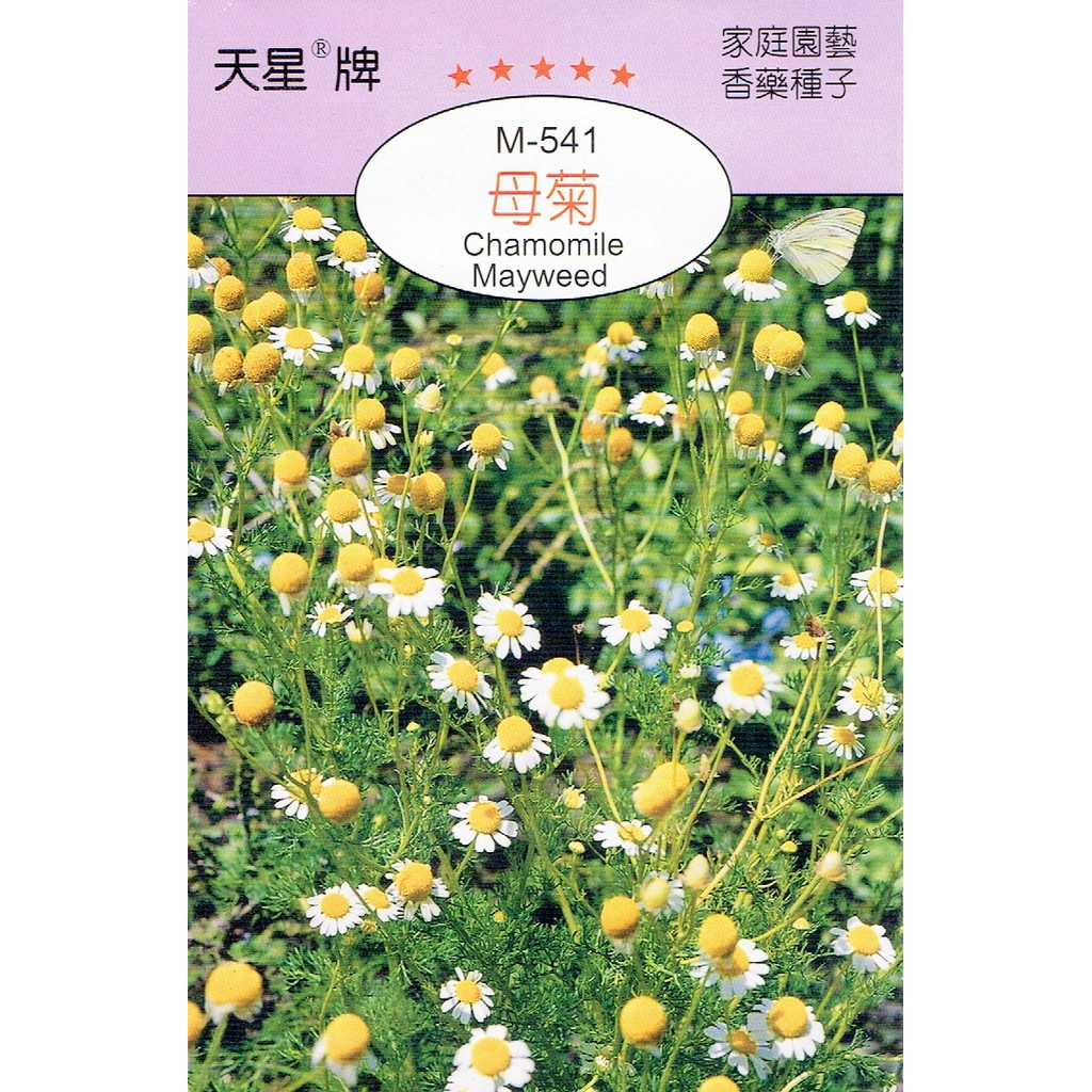 種子王國 母菊 德國洋甘菊【香藥草種子】天星牌 彩色包裝 小包裝種子 | 蝦皮購物