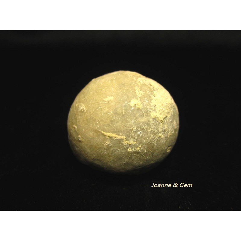 俄羅斯海林檎 (Echinosphaerites)~俗稱【海蘋果】 -(整顆方解石化)~奧陶紀~地球的古老記憶