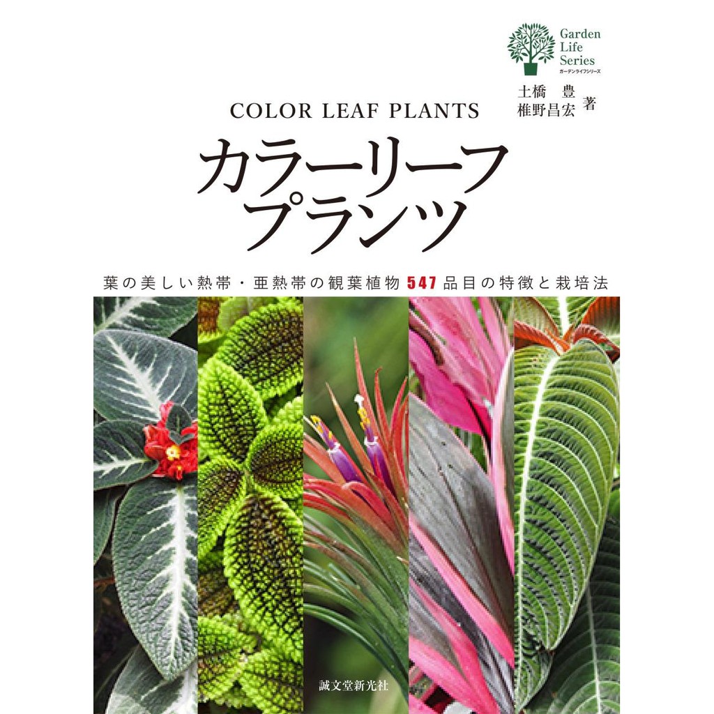 カラーリーフプランツ: 葉の美しい熱帯・亜熱帯の観葉植物547品目の