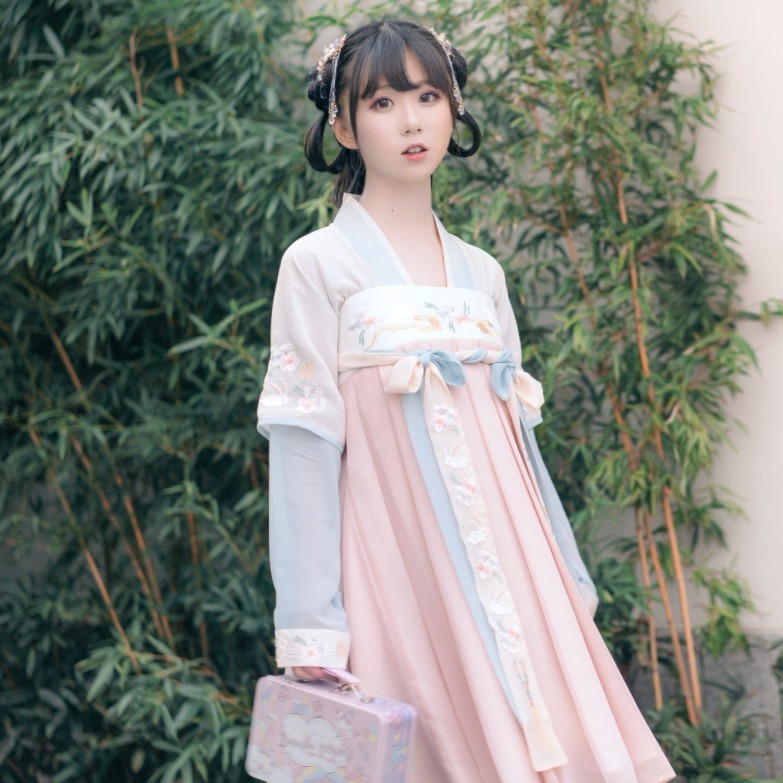 現貨 千年之戀 古風服飾 雲兔 改良漢服 對襟 齊胸襦裙 古裝綉花仙女裙 古風日常 漢元素 中國風服飾【CL014】 | 蝦皮購物