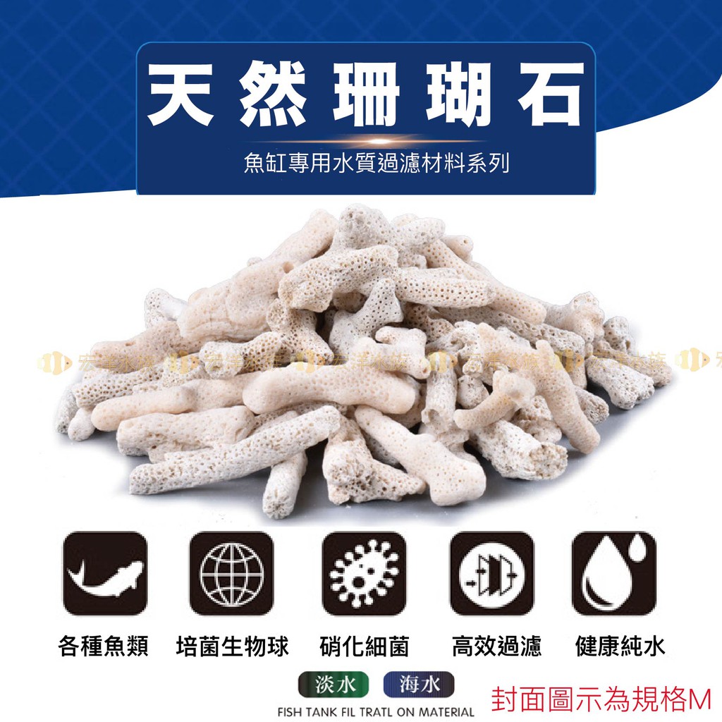 白珊瑚- 優惠推薦- 2023年8月| 蝦皮購物台灣