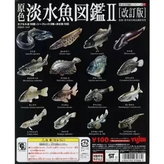 原色淡水魚圖鑑- 優惠推薦- 2025年4月| 蝦皮購物台灣 原色淡水魚圖鑑- 優惠推薦- 2025年4月| 蝦皮購物台灣
