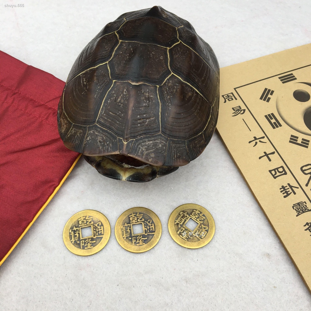 新品特賣然真烏龜殼占卜爻卦六爻算卦搖卦工具鎮宅招財文玩把件風水擺件| 蝦皮購物