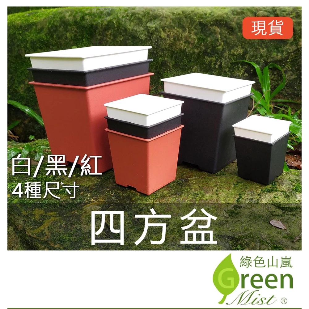 四方盆 多肉花盆 花盆 塑膠花盆 正方盆 多肉仙人掌栽培盆 方盆 小盆節省多肉土壤介質【綠色山嵐】