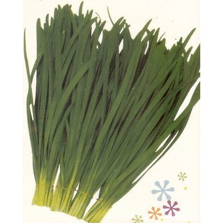 韭菜- 優惠推薦- 2026年1月| 蝦皮購物台灣