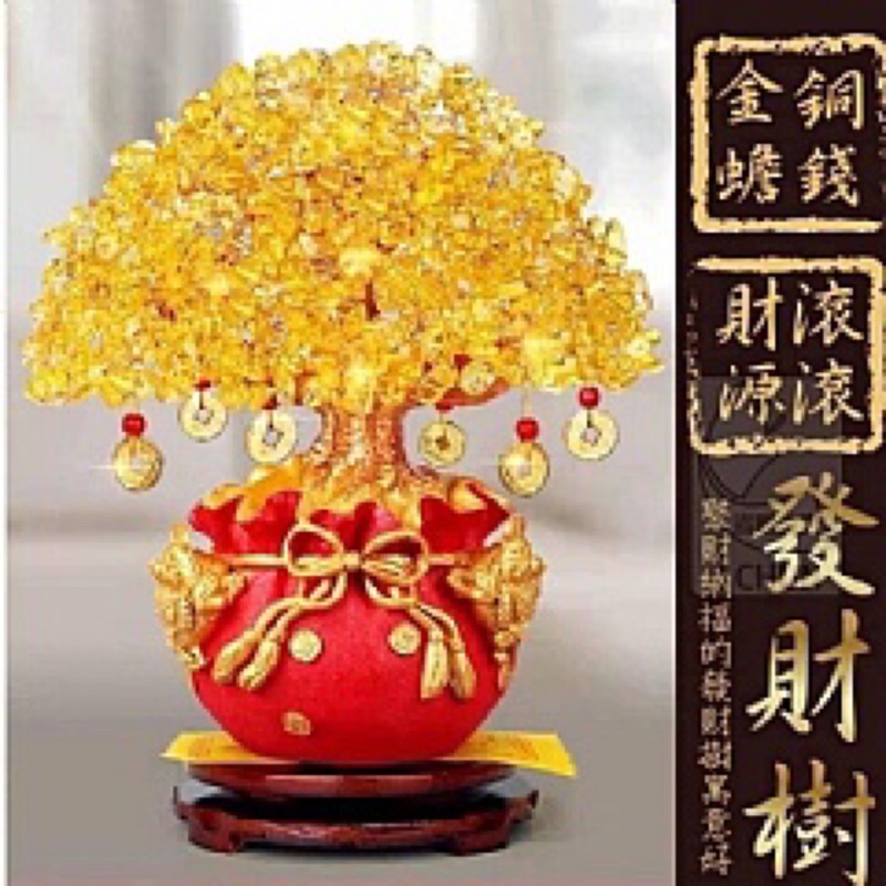 財源滾滾發財樹財源滾滾發財樹 | 蝦皮購物