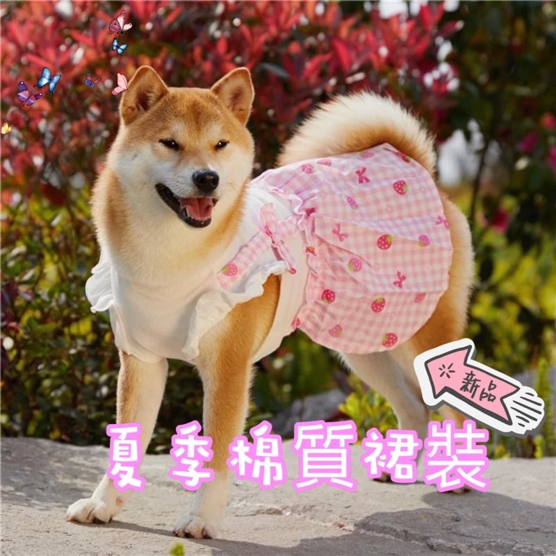 [圖]