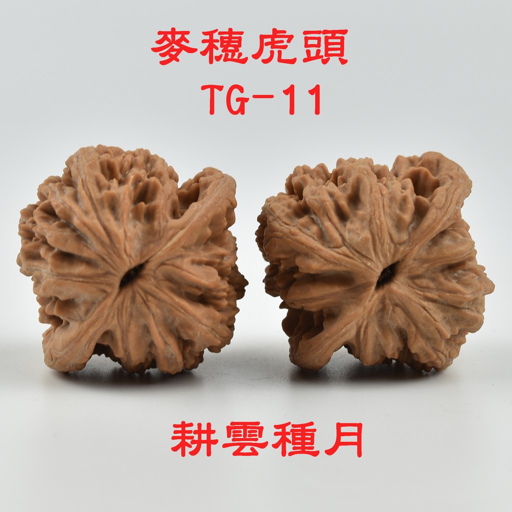 耕雲種月】麥穗虎頭文玩核桃TG-11-1000元/對(紋路清晰、上手易紅)尺寸邊肚高約mm:41.5/40/44.7 | 蝦皮購物