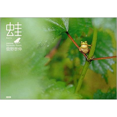 文化國際通》蛙(日语) - 菅野泰伸| 蝦皮購物