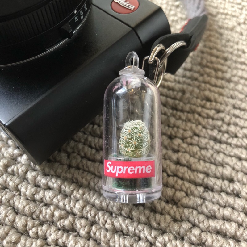 Supreme Cactus Keychain 仙人掌鑰匙圈 蝦皮購物