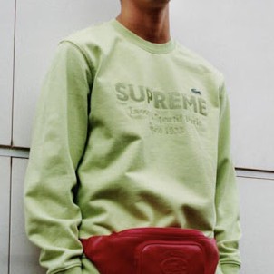 Supreme LACOSTE Crewneck 大學T 鱷魚蘋果綠M號| 蝦皮購物