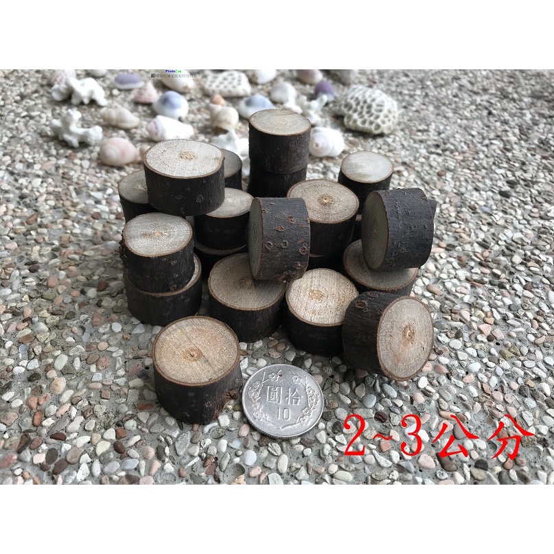 L-131 樟樹(樟木、香樟)切片，直徑約2〜3公分，3元。 | 蝦皮購物