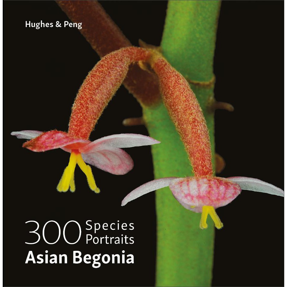 Asian Begonia 300 species portraits(平裝/精裝本) | 蝦皮購物