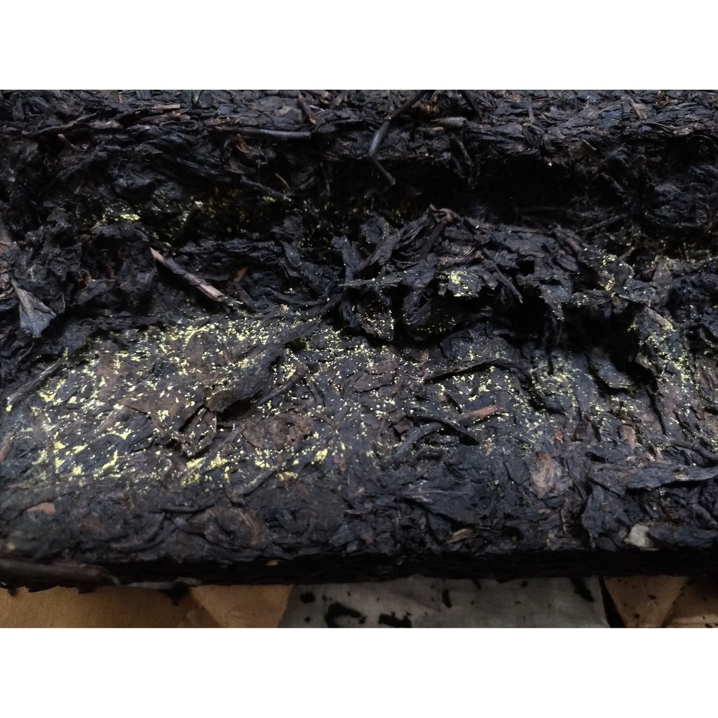 1997湖南安化黑茶-御品一號尖茯金花茯磚茶天尖茯茶1000g | 蝦皮購物