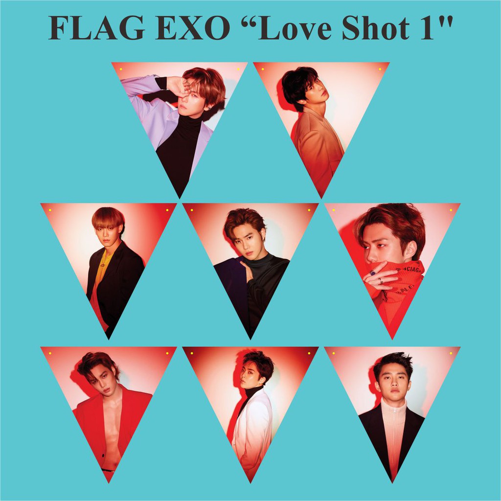 Bunting FLAG EXO LOVE SHO1 Kpop 紀念品錶帶 | 蝦皮購物