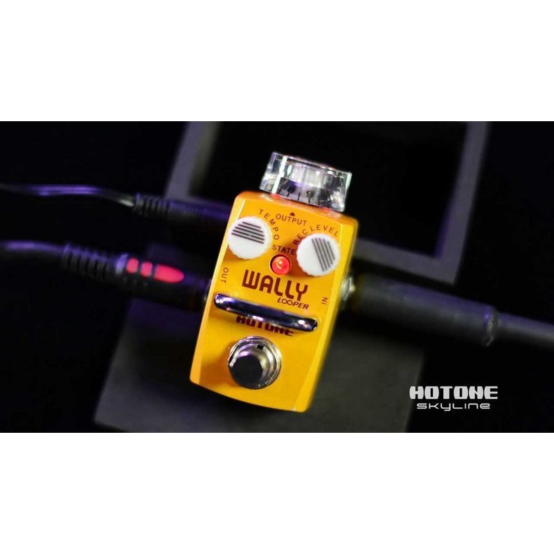 Hotone Wally Looper Guitar Pedal | zZounds