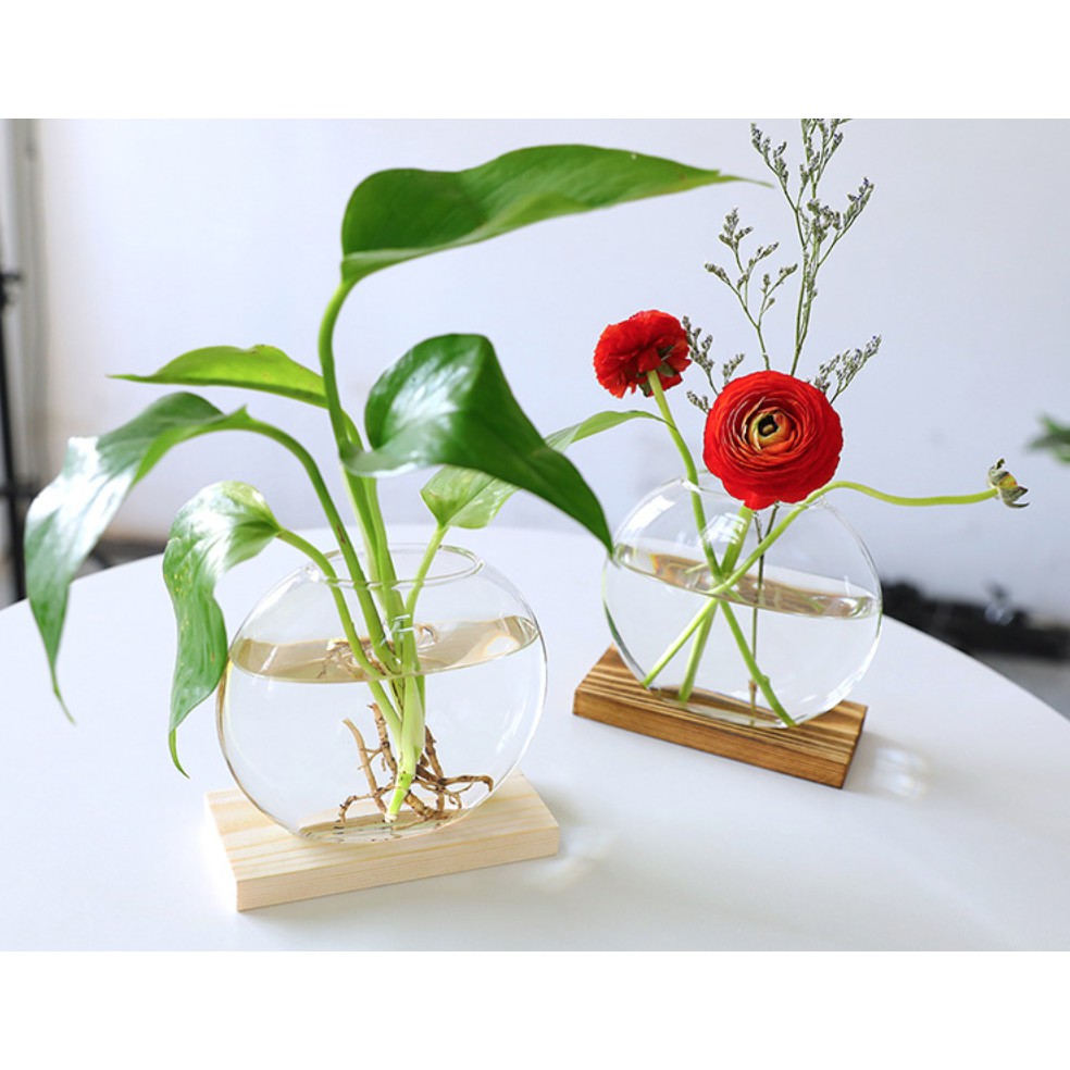 花草園藝雜貨店, 線上商店| 蝦皮購物