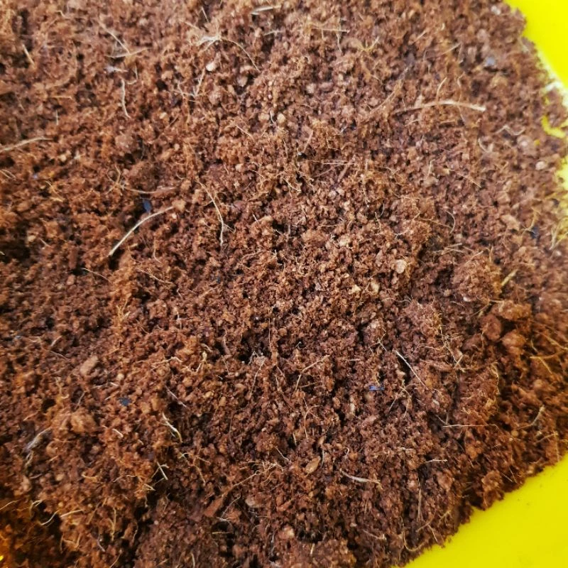 P老闆園藝椰土椰纖土1公斤，三趾箱龜飼養箱陸地區底材