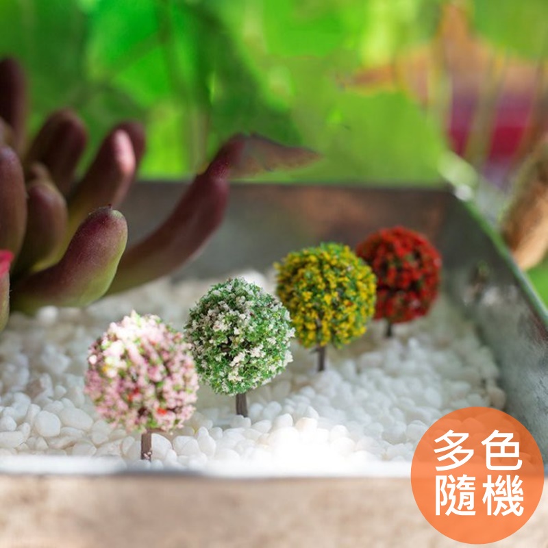 台灣現貨【仿真小樹球/顏色隨機】追花 小樹 樹木 樹 公仔裝飾擺件 多肉植物 園藝組盆 療傷小物 微景觀擺設 | 蝦皮購物