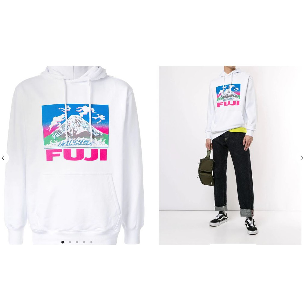 Palace on sale fuji hoodie