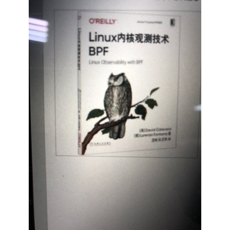 現貨 linux 內核觀測技術 linux observability eith bpf | 蝦皮購物