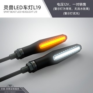 正品靈獸】 L19 LED 流水方向燈序列式方向燈方向燈導光日行燈機車FORCE