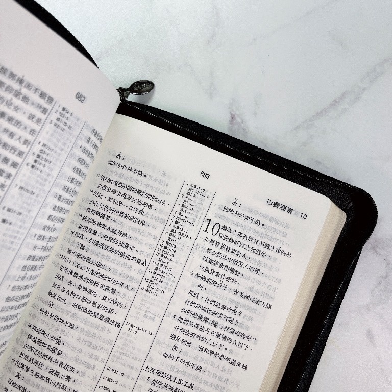 081 Chinese /Bilingual Bibles