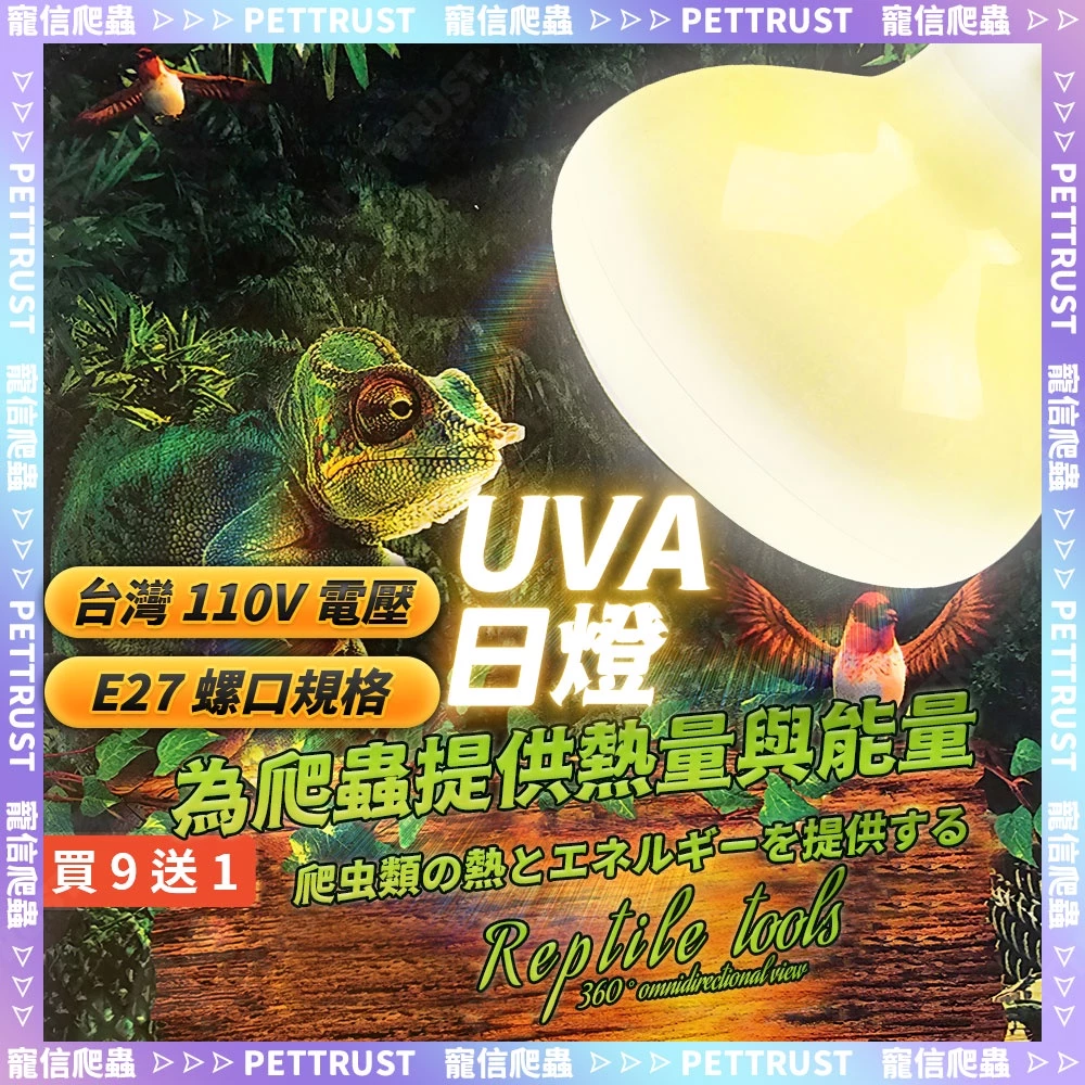 爬蟲UVA聚熱燈泡，台灣110V，豹龜白天曬點區加溫用