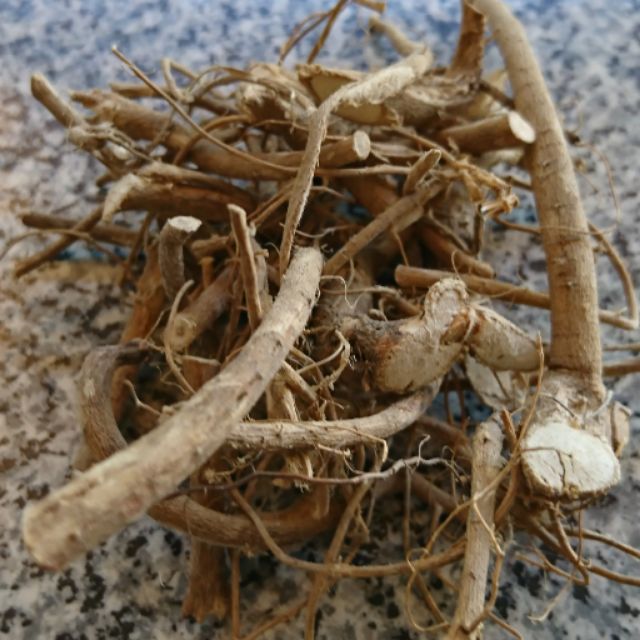 🌿時珍本草鋪🌿 台灣 狗尾草、通天草（根） | 蝦皮購物