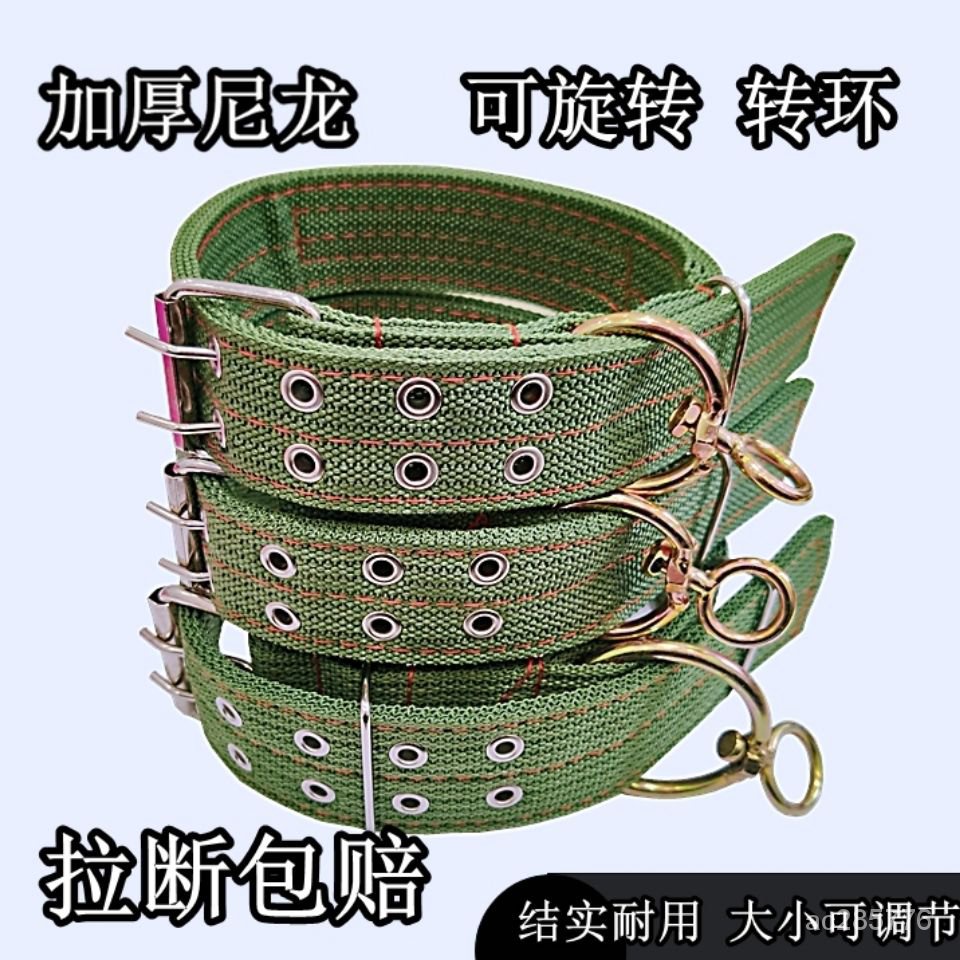 大型犬 狗狗 項圈 狗圈 頸圈 脖圈 中型犬 金毛 德牧 馬犬 大中型犬 寵物用品 | 蝦皮購物