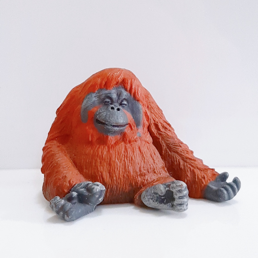 戽斗厚道星球休眠睡覺合掌祈福動物北極熊兔子驢子紅毛猩猩熊藍鯨扭蛋轉蛋正版公仔拆擺| 蝦皮購物