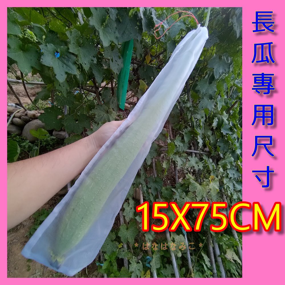[台灣出貨]長形瓜類專用拉繩紗網袋【咪子媽咪購物】【FG002】絲瓜長瓜類套袋 防蟲咬 防蜂叮透氣袋 拉繩不用再用夾子 | 蝦皮購物
