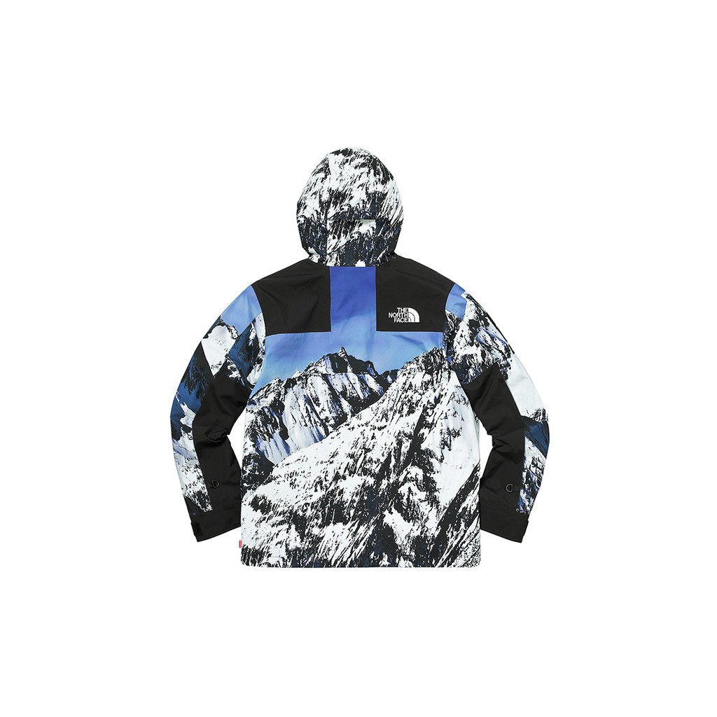 値下げ事業 L supreme north face 雪山 Mountain Parka | www