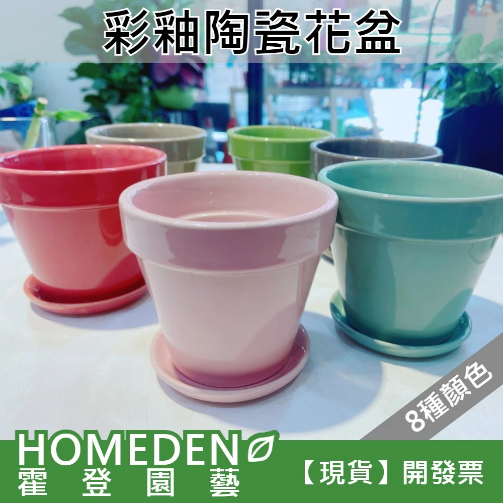 HOMEDEN霍登園藝彩釉陶瓷花盆3吋盆適用多肉植物小花盆