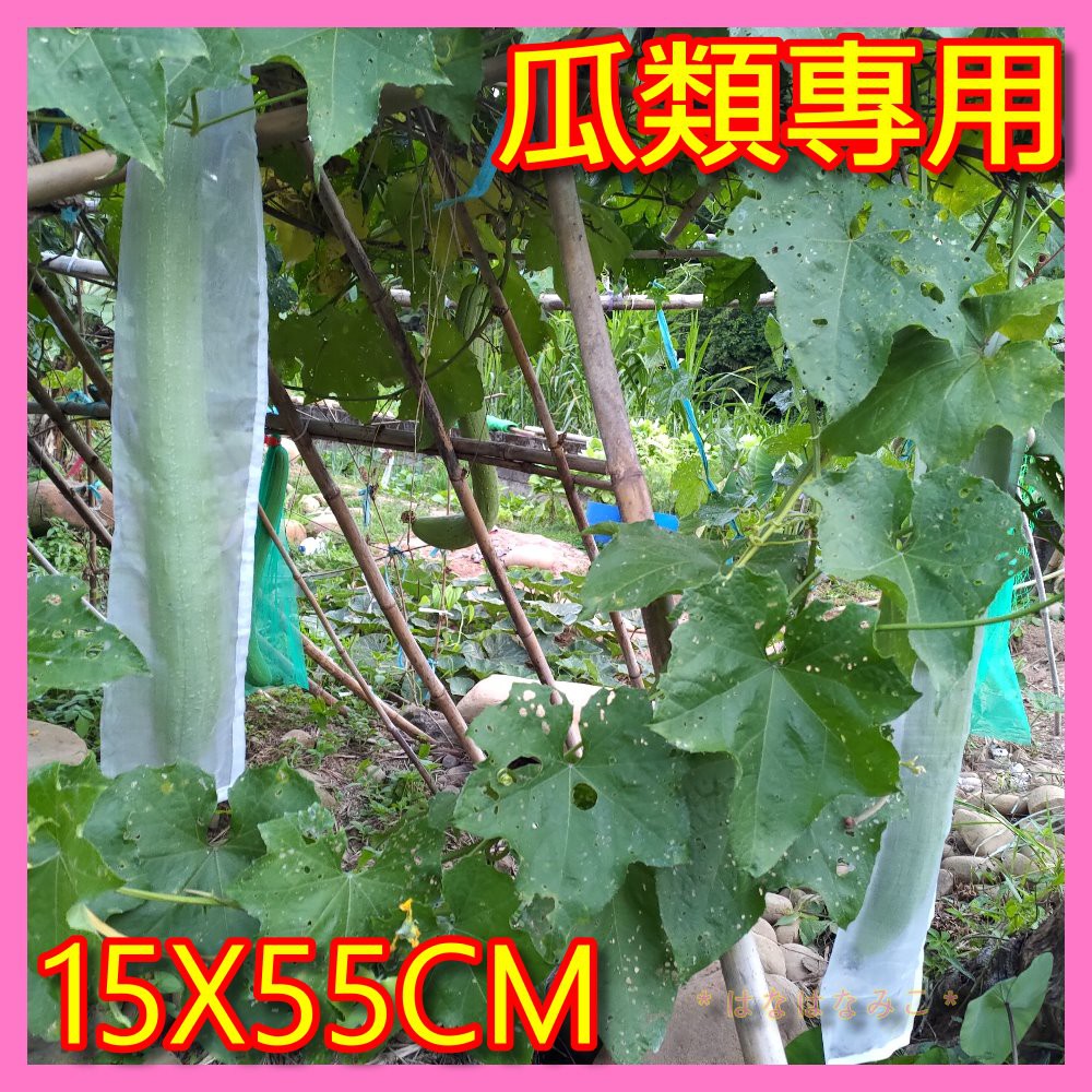 [台灣出貨]長形瓜類專用拉繩紗網袋【咪子媽咪購物】【FG002】絲瓜長瓜類套袋 防蟲咬 防蜂叮透氣袋 拉繩不用再用夾子 | 蝦皮購物