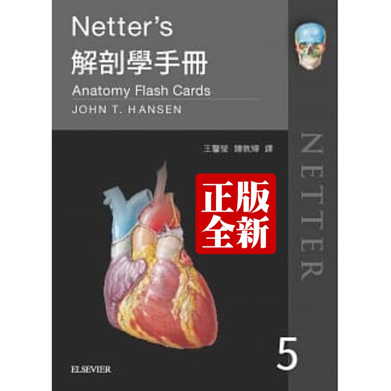 netter - 優惠推薦 - 2026年7月 | 蝦皮購物台灣