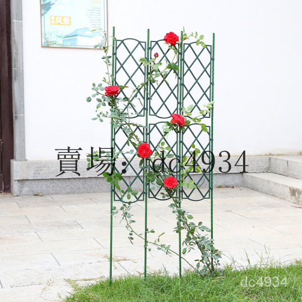 綠植花架子 瓜架 網架 植物爬藤支架 支撐架 花架 爬藤架 鐵綫蓮支架 月季攀爬花支架 庭院網格架 花園植物柵欄架子 O | 蝦皮購物