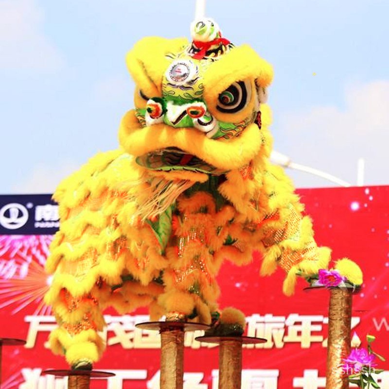 舞獅道具整套舞獅子佛山舞獅醒獅用品南獅醒獅頭成人全套雙人單人 0EJO | 蝦皮購物