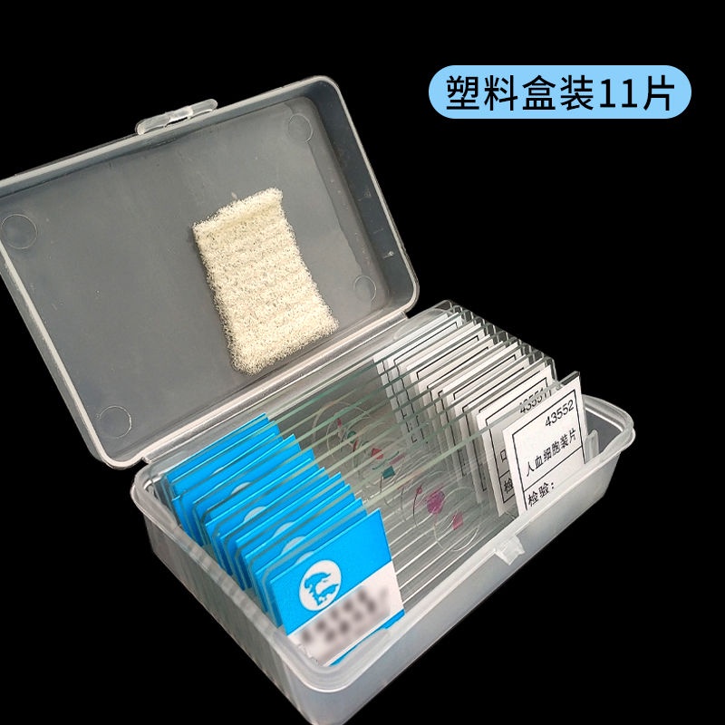 πAMY.生物切片 顯微鏡標本實驗玻片裝片細胞載玻片 皖南牌試驗生物切片 | 蝦皮購物