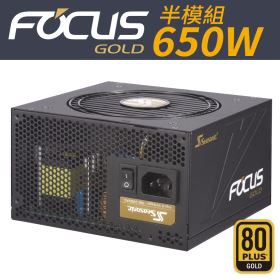 半模組海韻SeaSonic SSR-650FM GM-650 650W 金牌認證FOCUS | 蝦皮購物