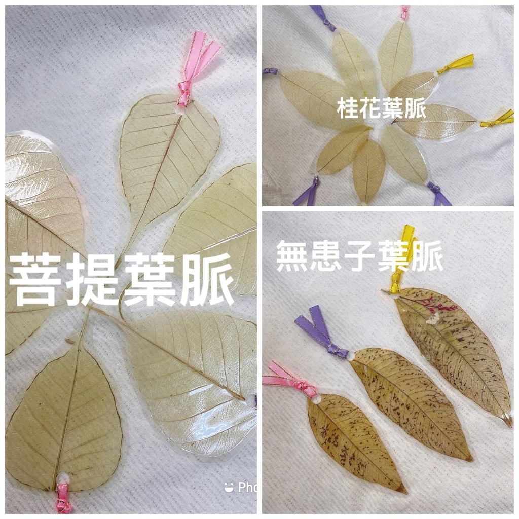手工創作天然菩提/桂花(木析)/無患子葉脈書籤 樹葉 簡 …