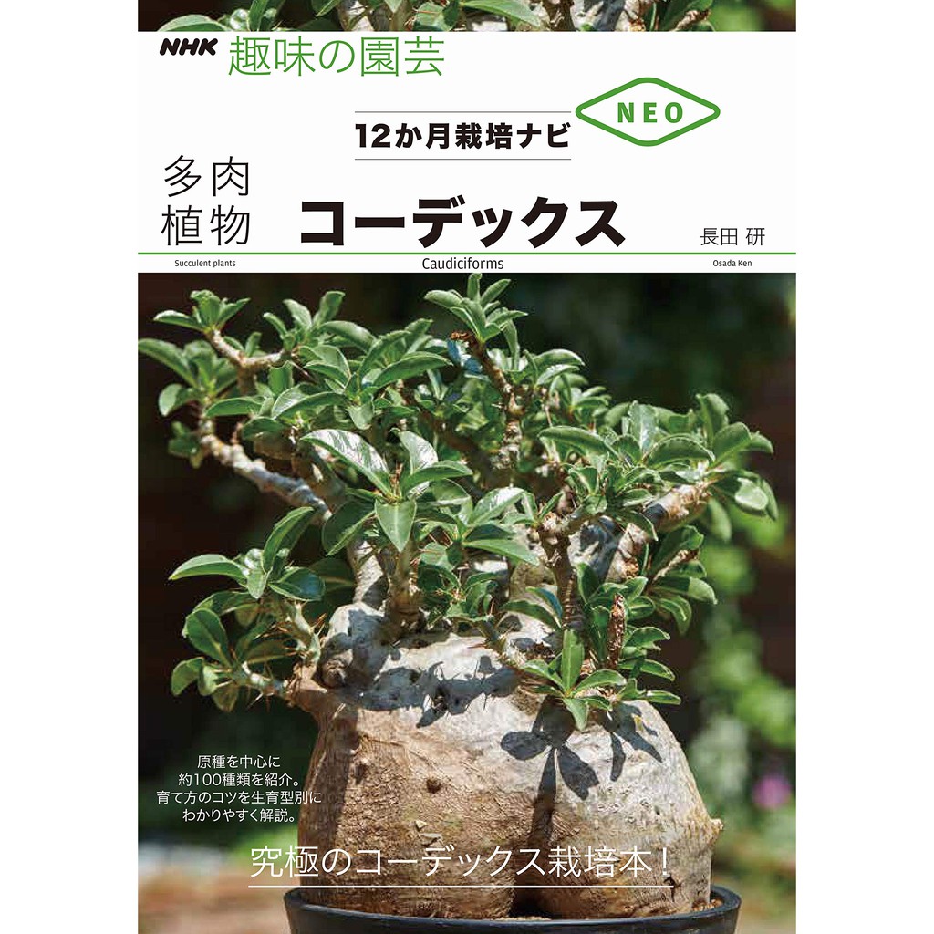 コーデックス塊根植物四季栽培綜合指南(日文) | 蝦皮購物