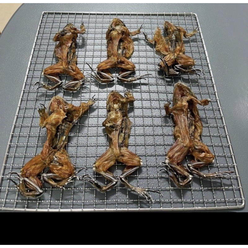 新鮮田雞、活青蛙、養殖田雞、活殺田雞 | 蝦皮購物