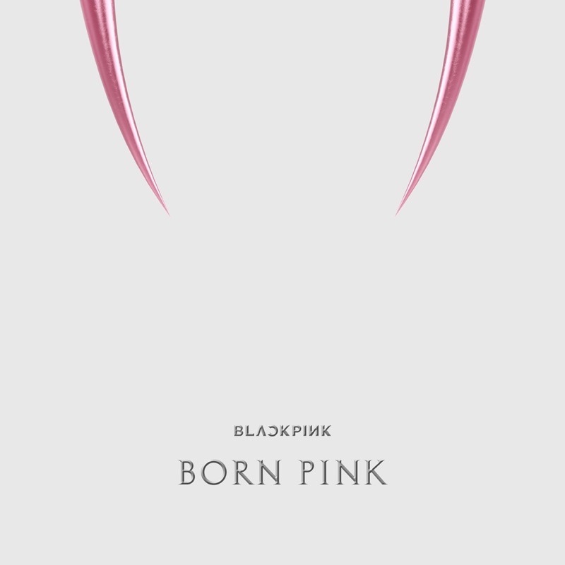 現貨Blackpink Born pink Jisoo Jennie Rosé Lisa 小卡拍立得明信片空專
