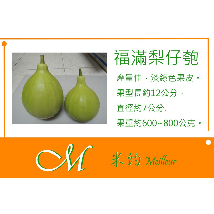 《Meilleur》梨仔匏種子 2粒 | 蝦皮購物