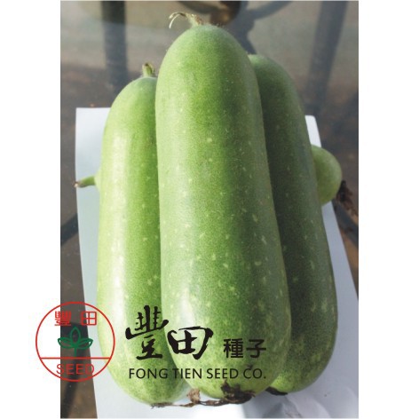 【萌田種子~】K37 清天小冬瓜種子0.75公克(約40粒) 肉質脆嫩清甜~ | 蝦皮購物