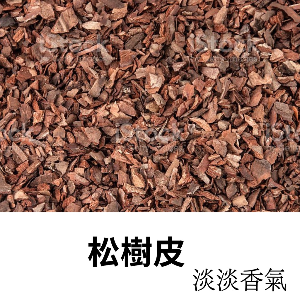 松樹皮木塊 園藝用品/花盆鋪面/鋪面使用/爬蟲與守宮底材 | 蝦皮購物