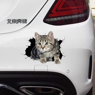 創意個性3D立體小貓汽車貼紙 可愛搞怪貓咪遮擋車身車尾劃痕刮痕