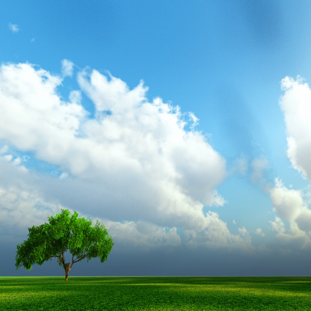 硬幣) 亞洲台灣中華民國43年(1954) 五角銅錢幣-UNC | 蝦皮購物